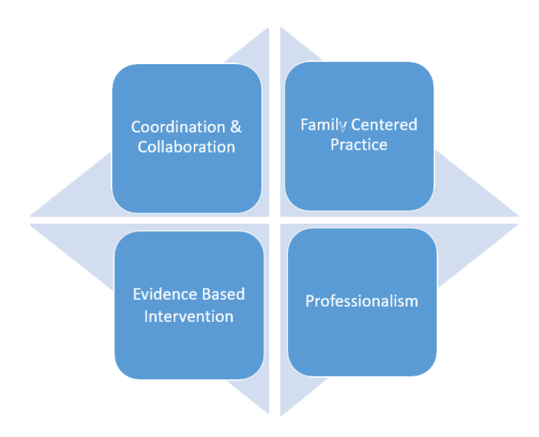 The four cross disciplinary competencies: coordination and collaboration, family centered practice, evidence based intervention, professionalism